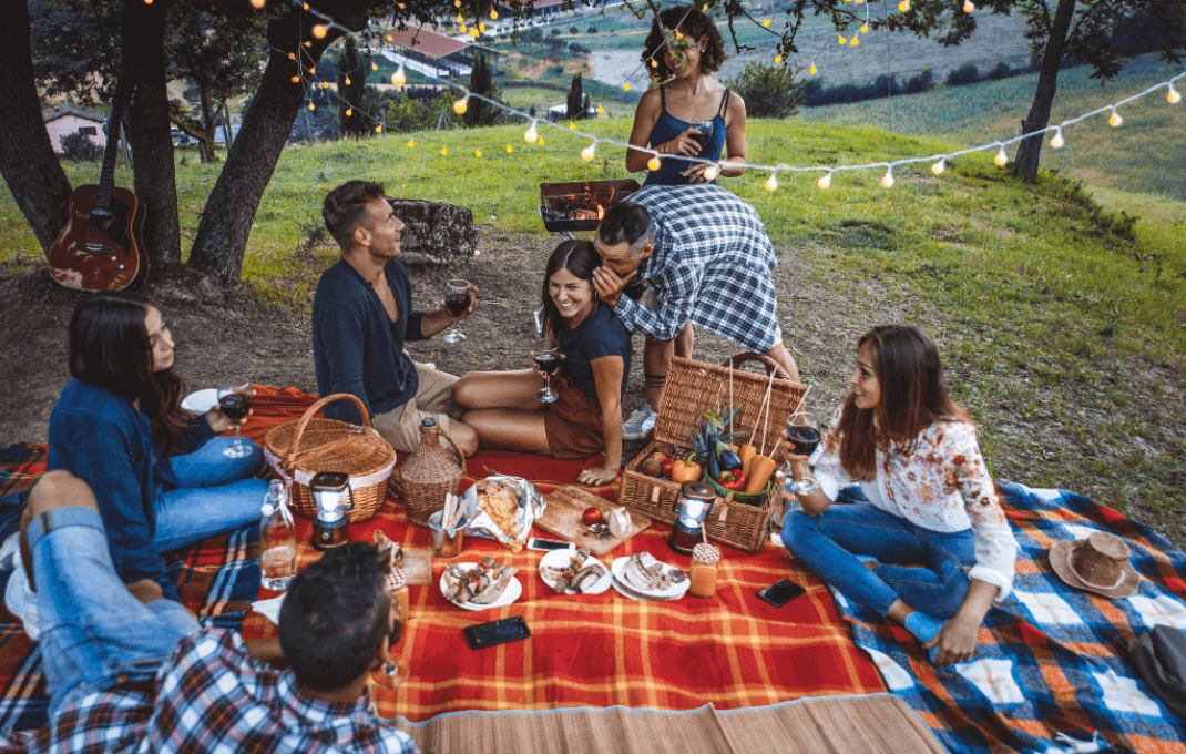 Gadget picnic